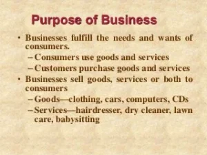 What is consumer goods and producer goods